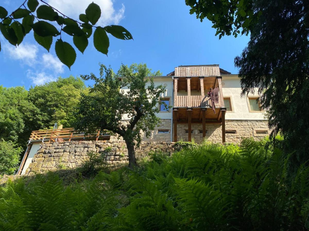 Luxusboofe - Ferienhaus Am Lilienstein Кёнигштайн-ан-дер-Эльбе Экстерьер фото